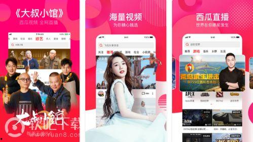 西瓜视频电视版,畅享海量内容，家庭观影新体验