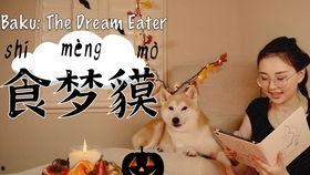 梦食在线观看,一场味蕾与心灵的奇幻之旅