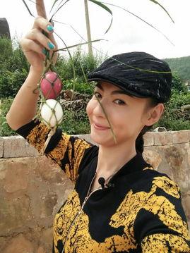 明星到我家温泉村,我家温泉村的热闹周末