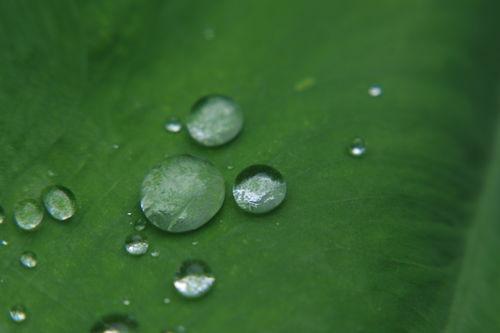 日本 水滴