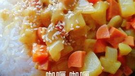 咖喱 视频,从历史到风味