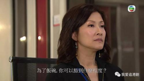 波士早晨在线播放15,职场风云再起