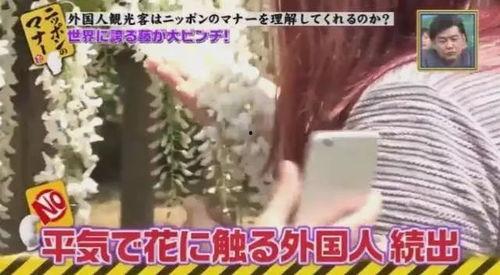 花瑠莉无码番号,揭秘网络迷雾中的神秘身影