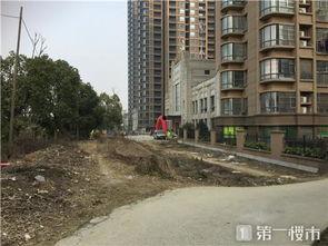 大学生爆料烂尾楼视频,工程烂尾，业主权益受损