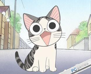 动画明星猫,动画明星猫的魅力之旅