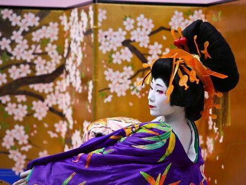 日本花魁在线观看,穿越时空的美丽邂逅