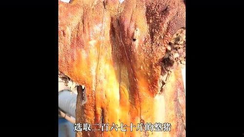 窝狸视频,揭秘短视频时代的魅力与挑战