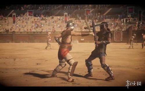 视频角斗士,荣耀与悲歌的竞技场传奇