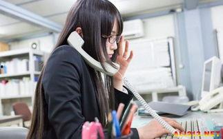 日本办公室写真,窥见高效工作与和谐文化的独特空间