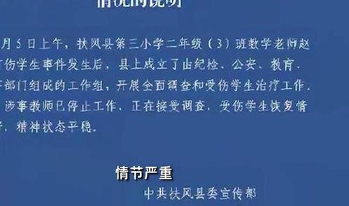 陕西学生爆料事件最新,揭开校园安全与教育监管的隐忧