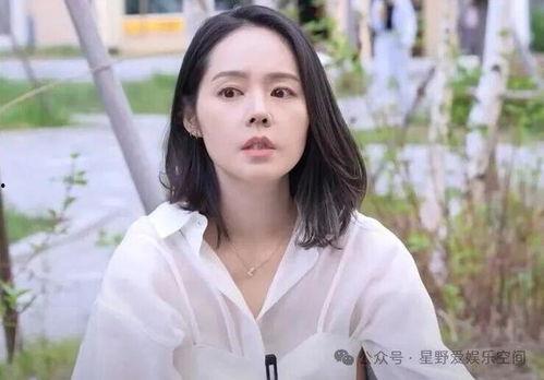 韩佳人视频,视频中的优雅与风采