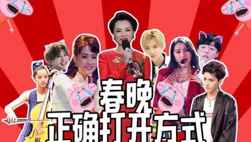 春节爆料视频,视频爆料带你领略传统节日新风采